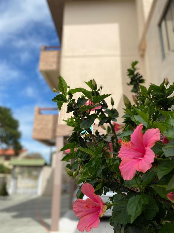 Hotel & Pousada Bella Vista フロリアノポリス エクステリア 写真